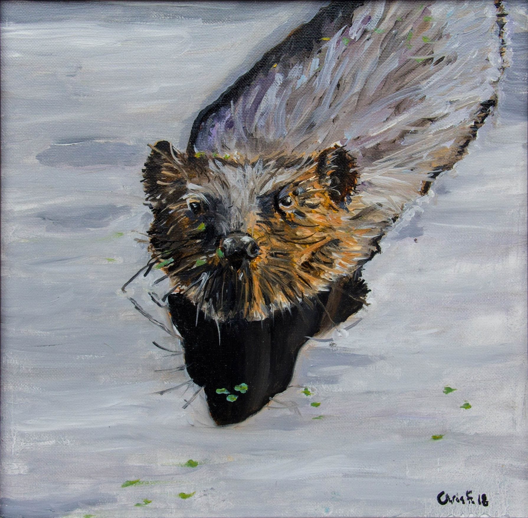 Painting of a beaver seen from above, with its face and front paws near the water’s surface.